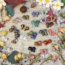 Load image into Gallery viewer, crystal healing stones gifts small size cute shape multi materials available unique gifts crystal mushroom(PCS)