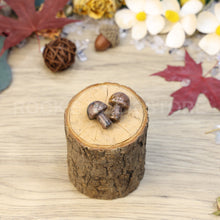 Load image into Gallery viewer, crystal healing stones gifts small size cute shape multi materials available unique gifts crystal mushroom(PCS)