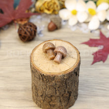 Load image into Gallery viewer, crystal healing stones gifts small size cute shape multi materials available unique gifts crystal mushroom(PCS)