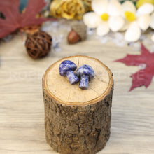 Load image into Gallery viewer, crystal healing stones gifts small size cute shape multi materials available unique gifts crystal mushroom(PCS)