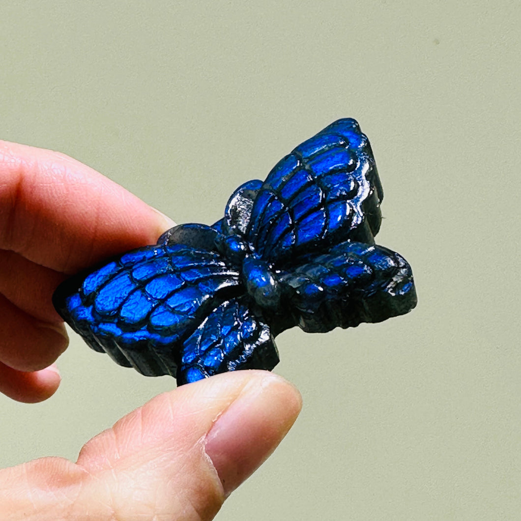 Full Blue Strong Flash  Labradorite Butterfly Carving