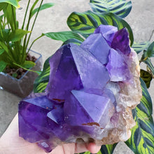 Load image into Gallery viewer, big amethyst cluster specimens amethyst specimens crystal specimens crystal clusters
