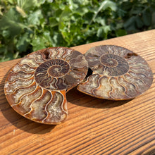 Load image into Gallery viewer, Well Jadified Ammonite Slices Couples
